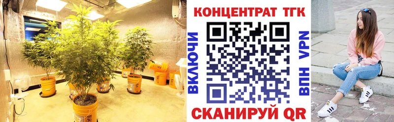 где купить наркотик  Наволоки  KRAKEN ССЫЛКА  ТГК концентрат 